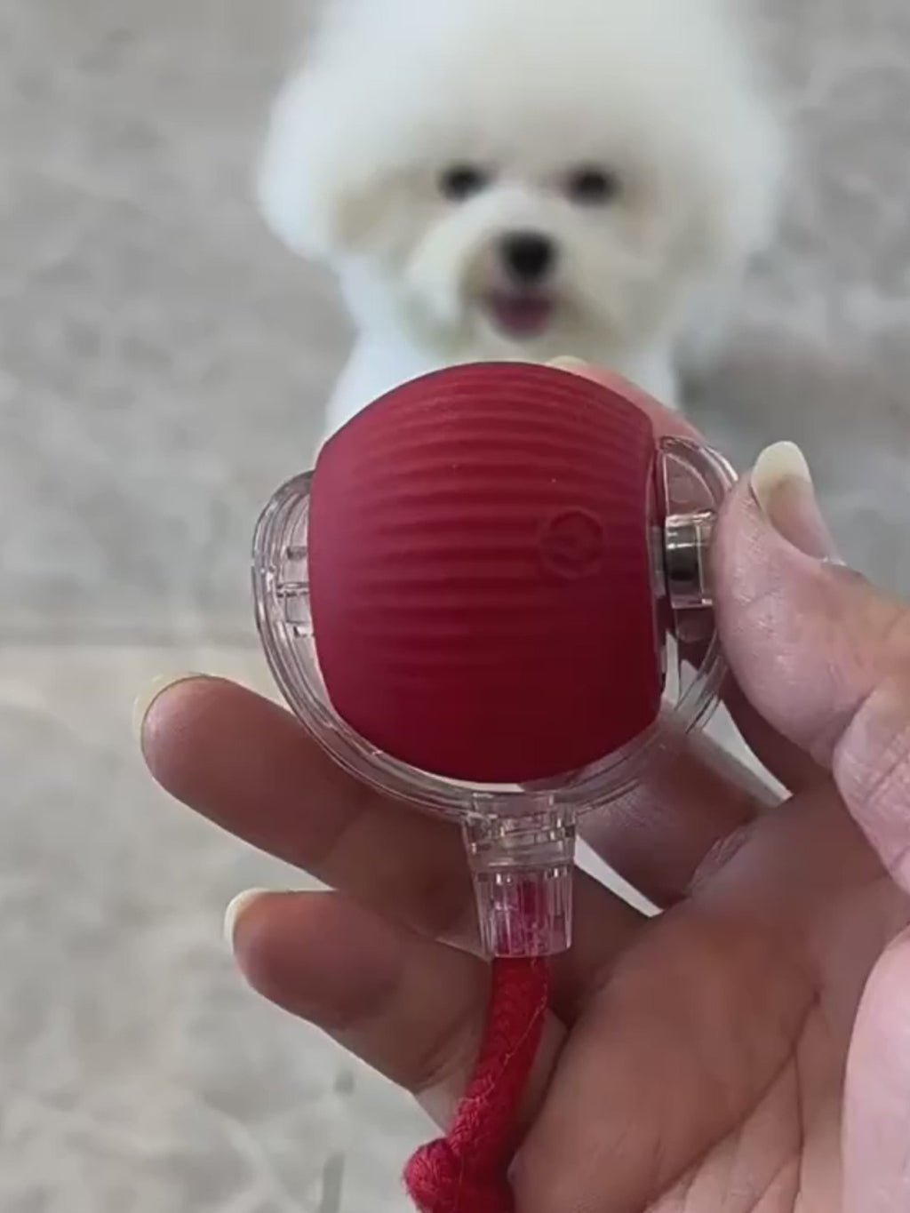 PUPLOZ™ Interactive Pet Ball